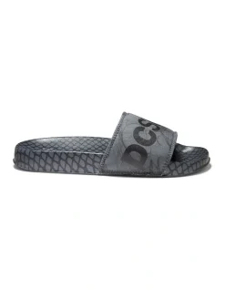 DC Grey Special Edition Slides
