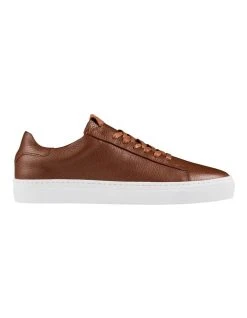 Aquila Deco 2.0 Leather Sneakers In Tan