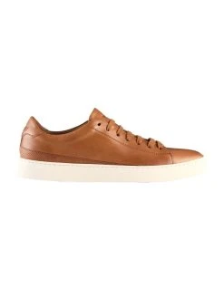 Aquila Perry Leather Sneakers In Tan