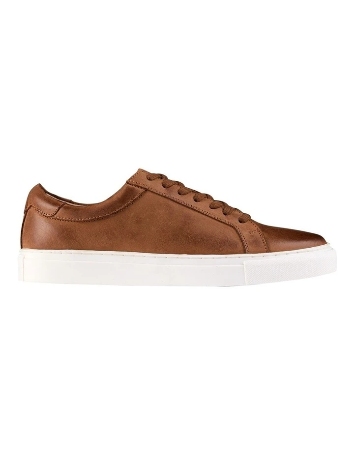 AQ By Aquila Nate Leather Sneakers In Brown 3 AQ By Aquila Nate Leather Sneakers In Brown