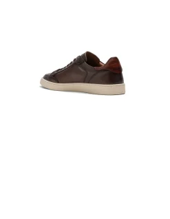 Rodd & Gunn Sussex Street Sneaker In Brown 12 Rodd & Gunn Sussex Street Sneaker In Brown -CONVERSE shop 985617910 4 720x928